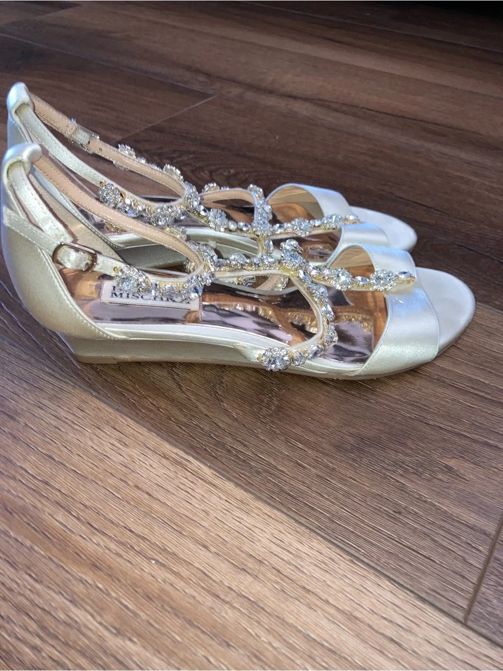 Badgley Mischka shoe has